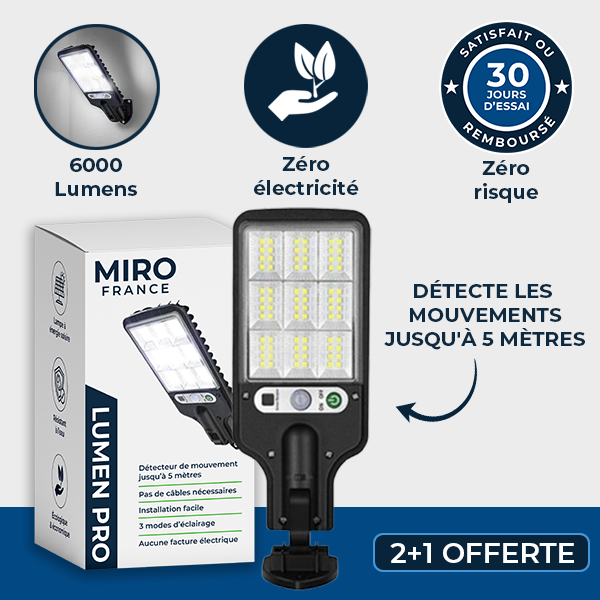 Lumen Pro - Solar Motion Lamp