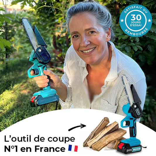 Tronçonneuse Électrique Portable